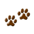 Paw prints 